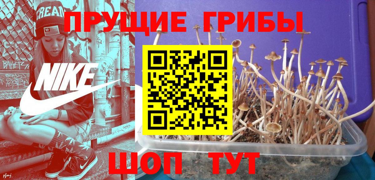 Псилоцибиновые грибы ЛСД Казань